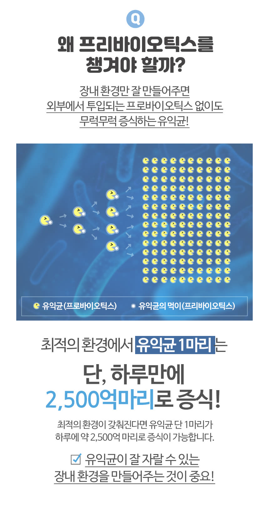 건강기능식품 상세페이지 제작 사례 – 프리바이오틱스 플러스 상세페이지 디자인 | 와디즈·쿠팡·스마트스토어 상세페이지 제작 및 건강기능식품 촬영 대행 | 스튜디오숲 STUDIO SOOP