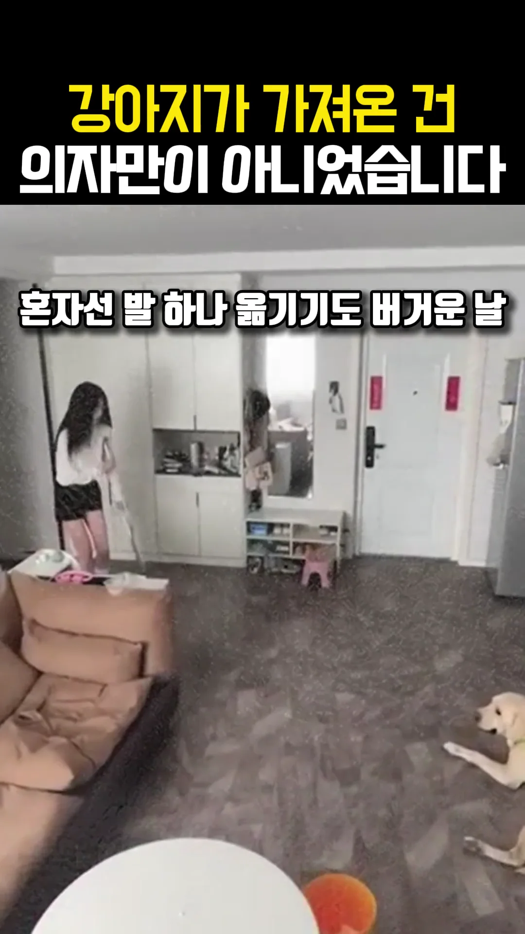 다리 다친 주인 이야기 숏츠