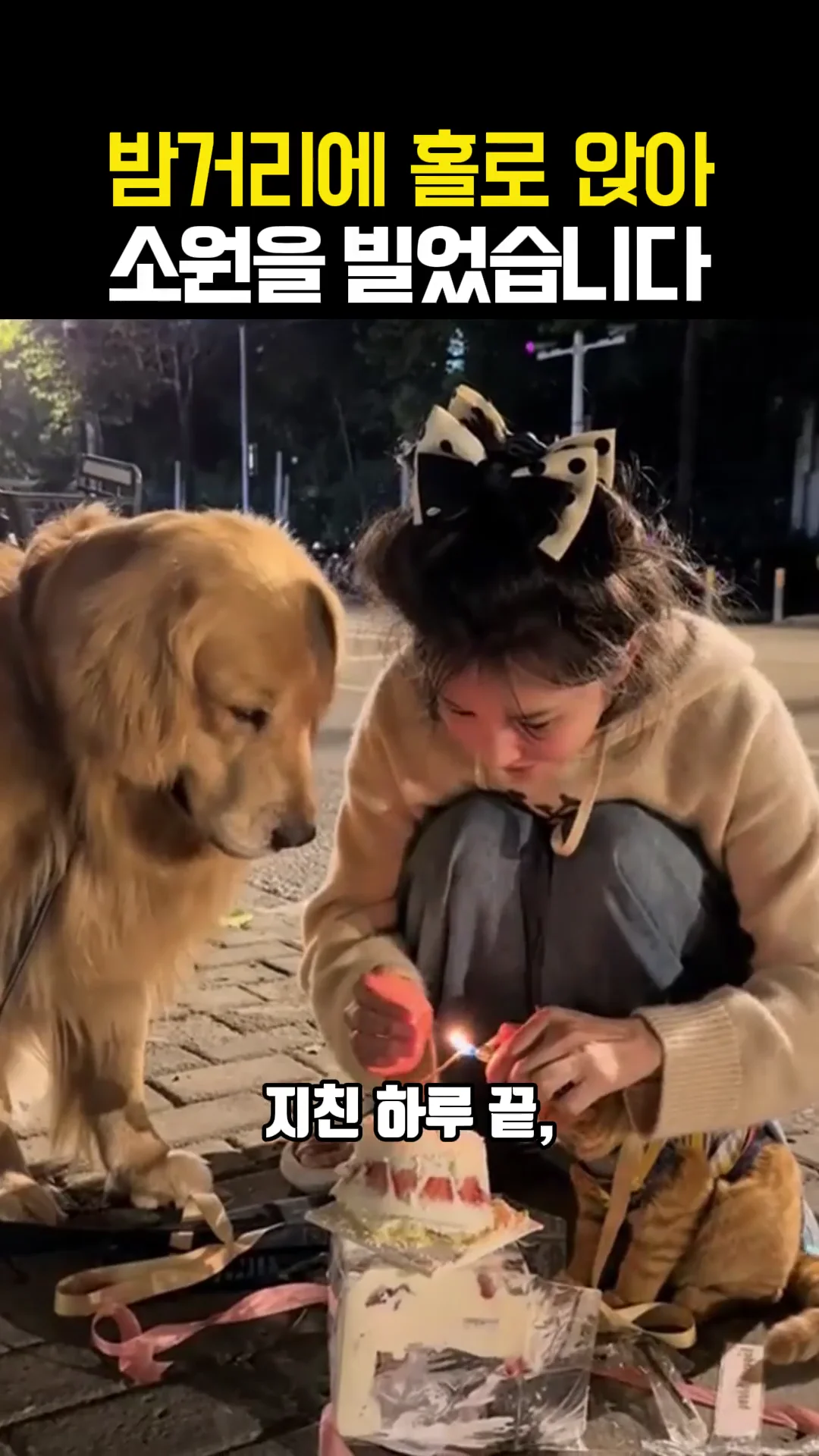 소원을 빌어봐 스토리 숏츠