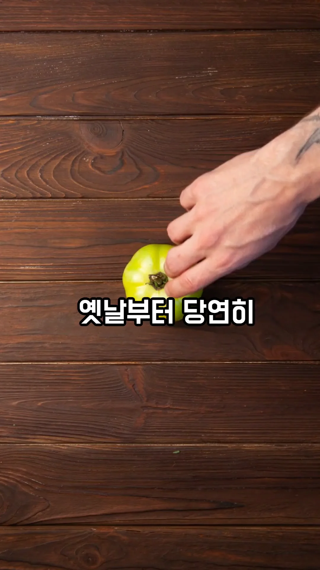 음식·역사 콘텐츠 숏츠 제작 사례 – 토마토 이야기 숏츠 | 숏츠·쇼핑몰 동영상 제작 대행 | 스튜디오숲 STUDIO SOOP