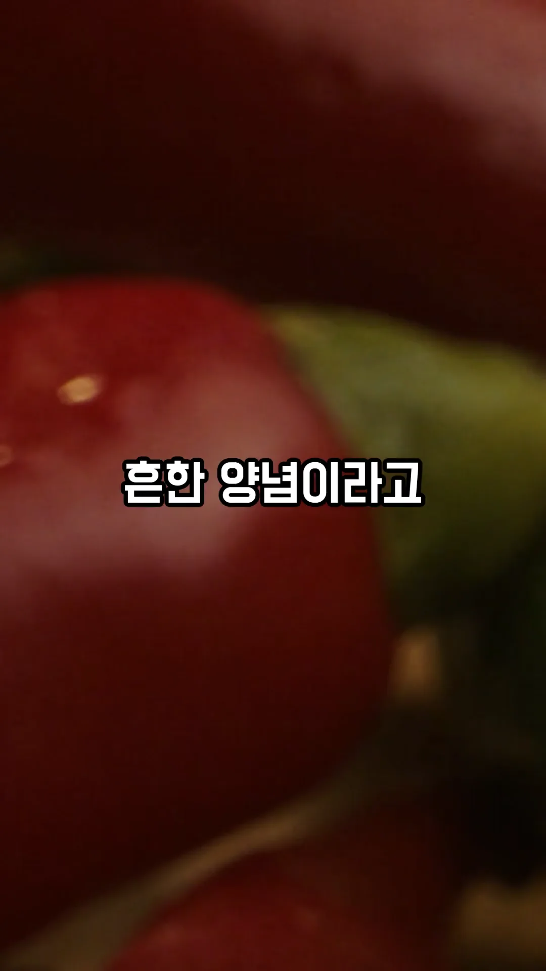음식·역사 콘텐츠 숏츠 제작 사례 – 후추 이야기 숏츠 | 숏츠·쇼핑몰 동영상 제작 대행 | 스튜디오숲 STUDIO SOOP